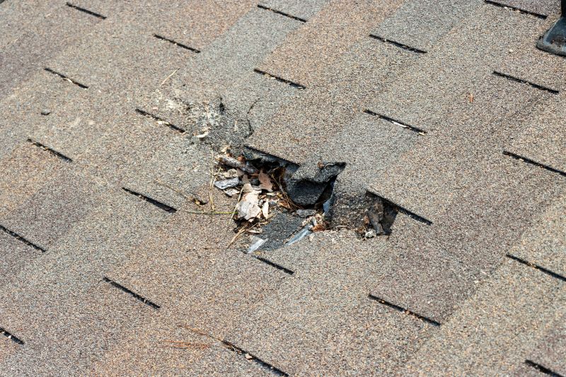 Roof Shingles Replacement in Hope Valley, RI
